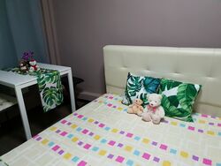 Novena Court (D11), Apartment #335058441